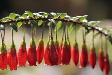 深圳盐田区2私人快速借钱网，轻松解决资金难题