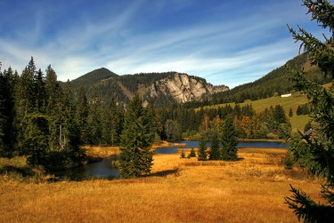 深圳盐田区2民间私贷攻略：揭秘低成本借贷的秘密